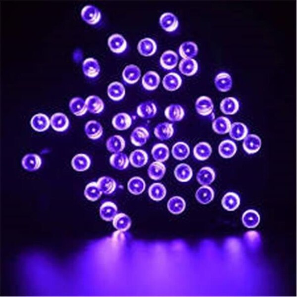 The Perfect The Perfect 600085 30 LED String Light Battery Operated